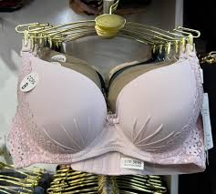 Multi Color Cotton Foam Bra For Women